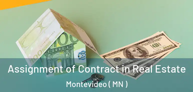  Assignment of Contract in Real Estate Montevideo ( MN )