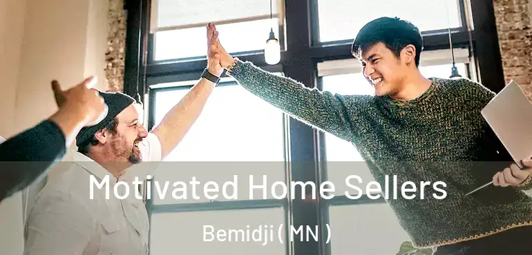  Motivated Home Sellers Bemidji ( MN )