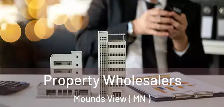  Property Wholesalers Mounds View ( MN )