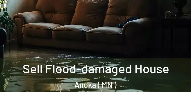  Sell Flood-damaged House Anoka ( MN )