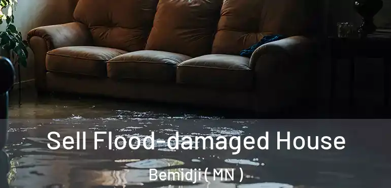 Sell Flood-damaged House Bemidji ( MN )