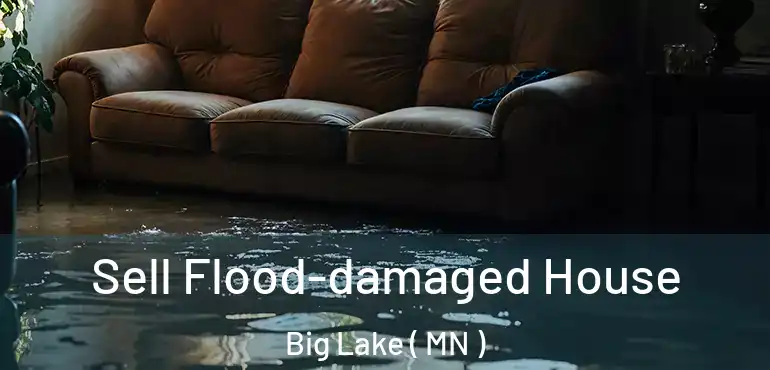  Sell Flood-damaged House Big Lake ( MN )
