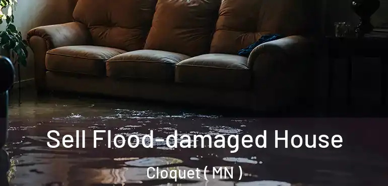  Sell Flood-damaged House Cloquet ( MN )