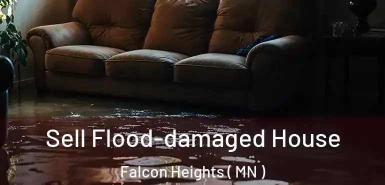  Sell Flood-damaged House Falcon Heights ( MN )