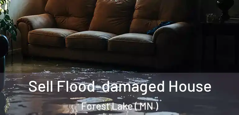  Sell Flood-damaged House Forest Lake ( MN )