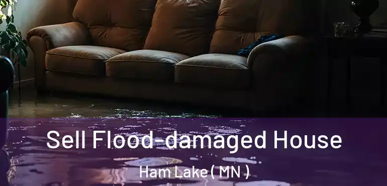  Sell Flood-damaged House Ham Lake ( MN )