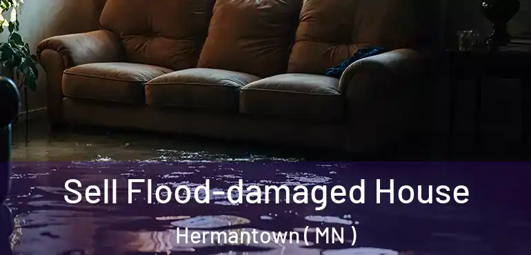  Sell Flood-damaged House Hermantown ( MN )