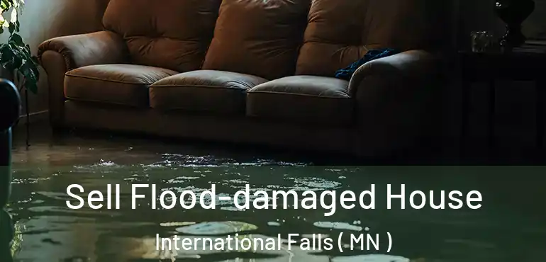 Sell Flood-damaged House International Falls ( MN )
