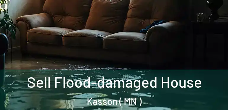  Sell Flood-damaged House Kasson ( MN )