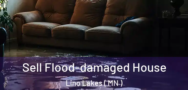  Sell Flood-damaged House Lino Lakes ( MN )