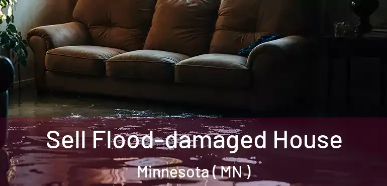  Sell Flood-damaged House Minnesota ( MN )