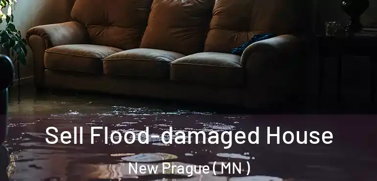  Sell Flood-damaged House New Prague ( MN )