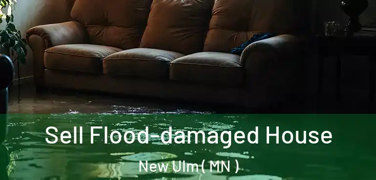  Sell Flood-damaged House New Ulm ( MN )