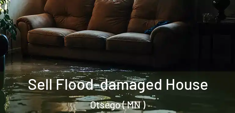  Sell Flood-damaged House Otsego ( MN )