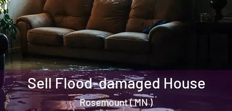  Sell Flood-damaged House Rosemount ( MN )