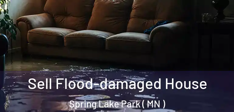  Sell Flood-damaged House Spring Lake Park ( MN )