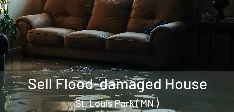  Sell Flood-damaged House St. Louis Park ( MN )