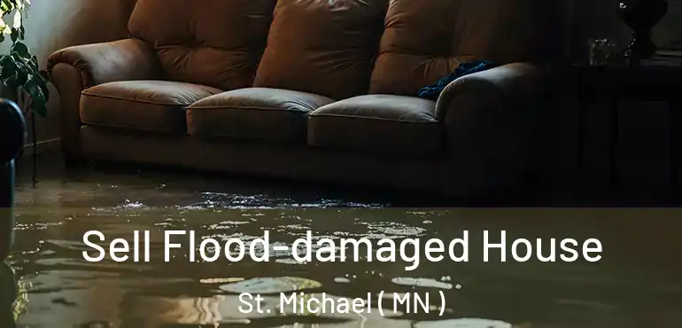  Sell Flood-damaged House St. Michael ( MN )