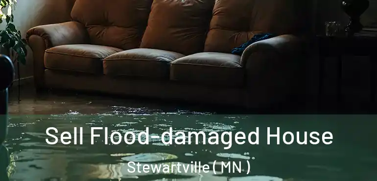  Sell Flood-damaged House Stewartville ( MN )