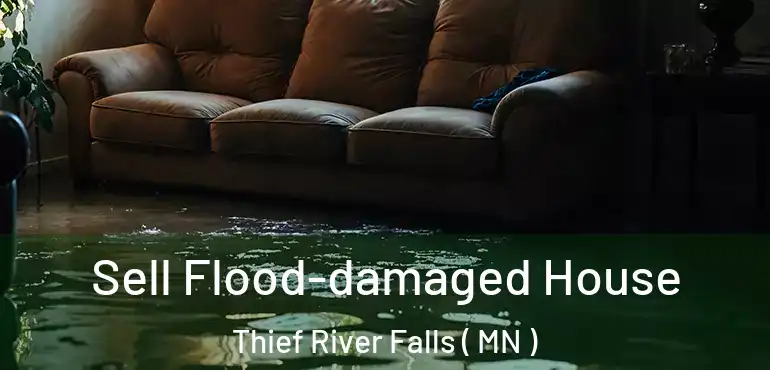  Sell Flood-damaged House Thief River Falls ( MN )