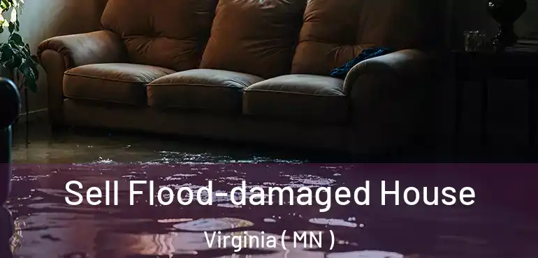 Sell Flood-damaged House Virginia ( MN )