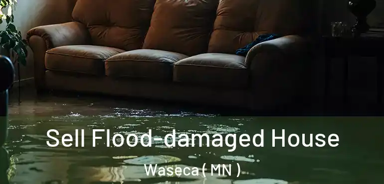  Sell Flood-damaged House Waseca ( MN )