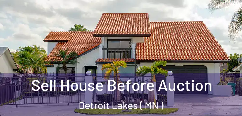  Sell House Before Auction Detroit Lakes ( MN )