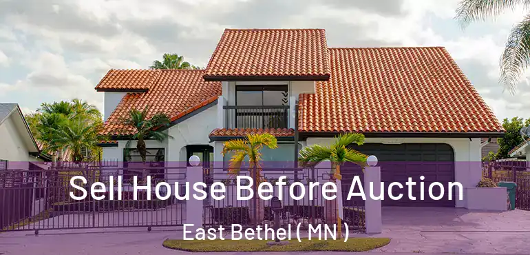  Sell House Before Auction East Bethel ( MN )