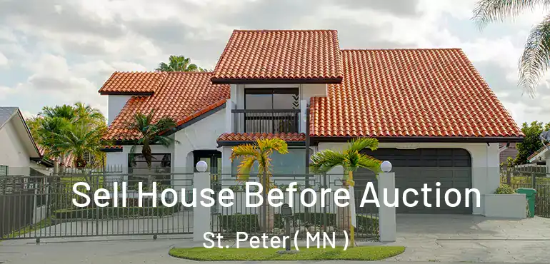  Sell House Before Auction St. Peter ( MN )