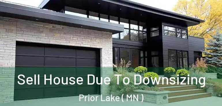  Sell House Due To Downsizing Prior Lake ( MN )