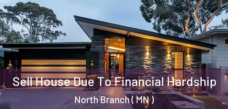  Sell House Due To Financial Hardship North Branch ( MN )