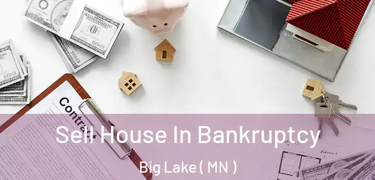  Sell House In Bankruptcy Big Lake ( MN )