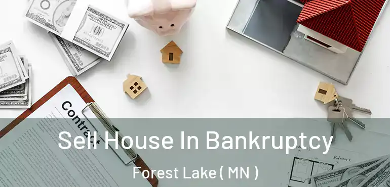  Sell House In Bankruptcy Forest Lake ( MN )