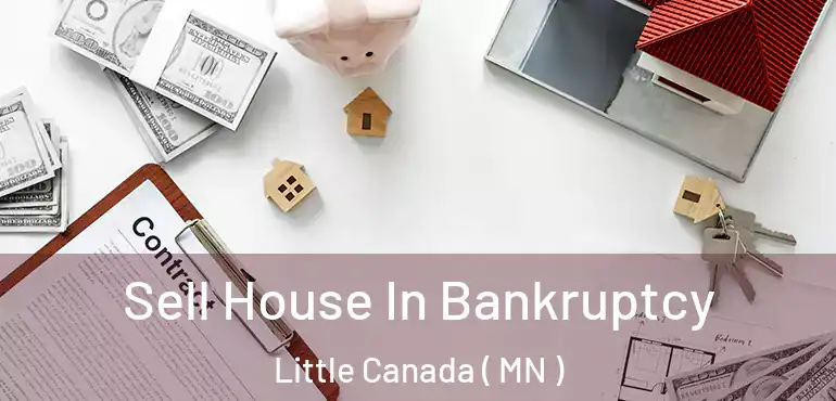  Sell House In Bankruptcy Little Canada ( MN )