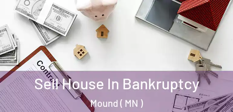  Sell House In Bankruptcy Mound ( MN )