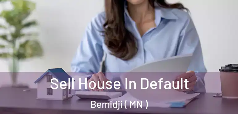  Sell House In Default Bemidji ( MN )