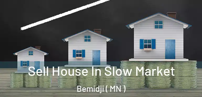  Sell House In Slow Market Bemidji ( MN )