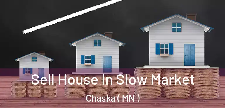  Sell House In Slow Market Chaska ( MN )