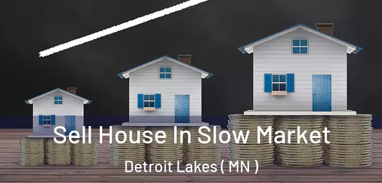  Sell House In Slow Market Detroit Lakes ( MN )