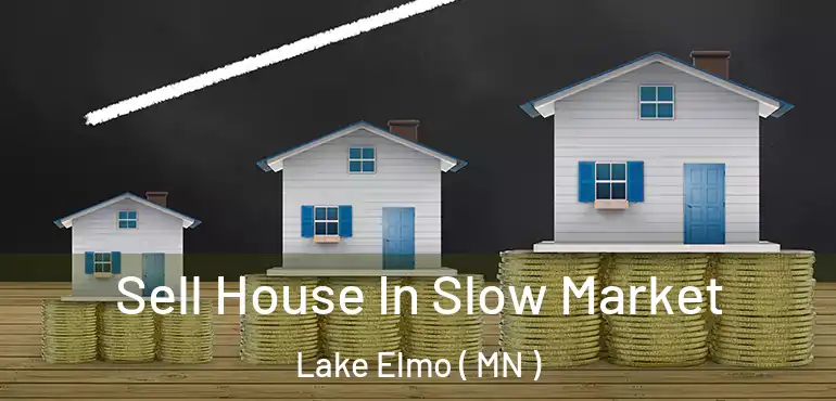  Sell House In Slow Market Lake Elmo ( MN )