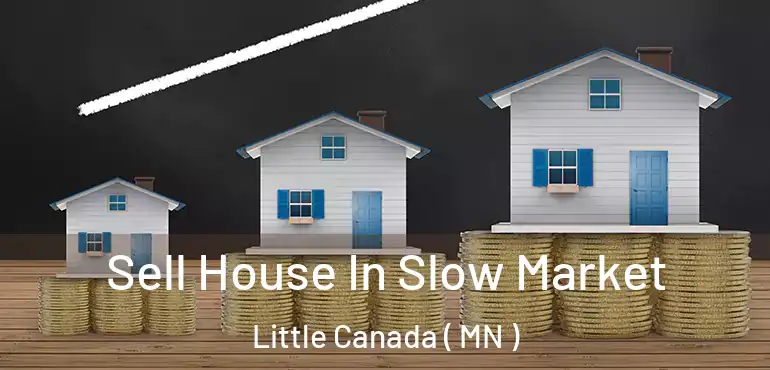  Sell House In Slow Market Little Canada ( MN )