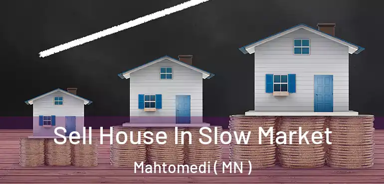  Sell House In Slow Market Mahtomedi ( MN )