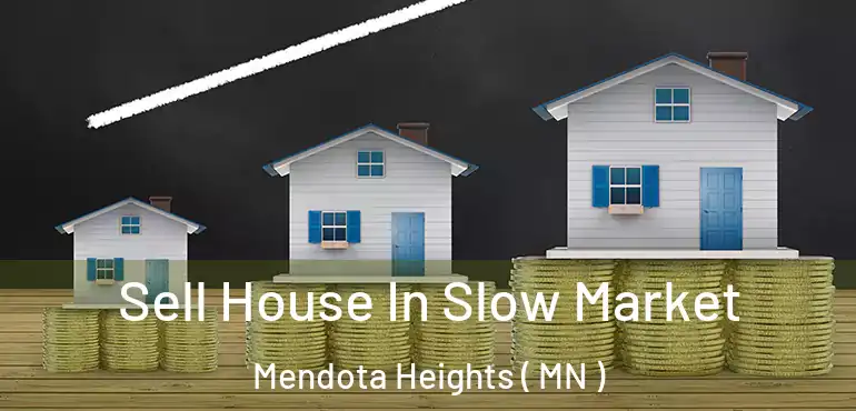  Sell House In Slow Market Mendota Heights ( MN )