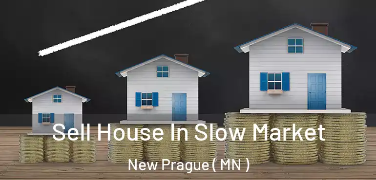  Sell House In Slow Market New Prague ( MN )