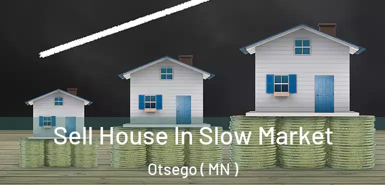  Sell House In Slow Market Otsego ( MN )