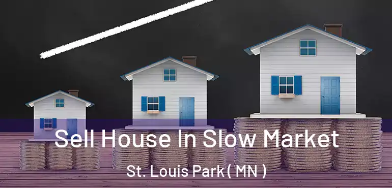  Sell House In Slow Market St. Louis Park ( MN )