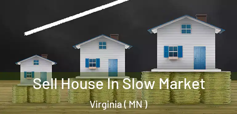  Sell House In Slow Market Virginia ( MN )