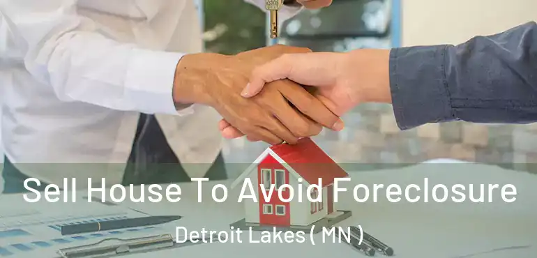  Sell House To Avoid Foreclosure Detroit Lakes ( MN )
