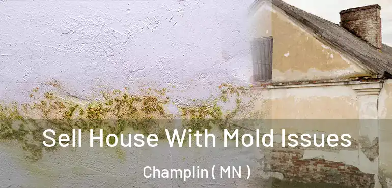  Sell House With Mold Issues Champlin ( MN )