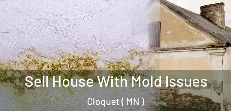  Sell House With Mold Issues Cloquet ( MN )